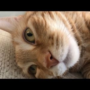 Meet your Posher, Darrian